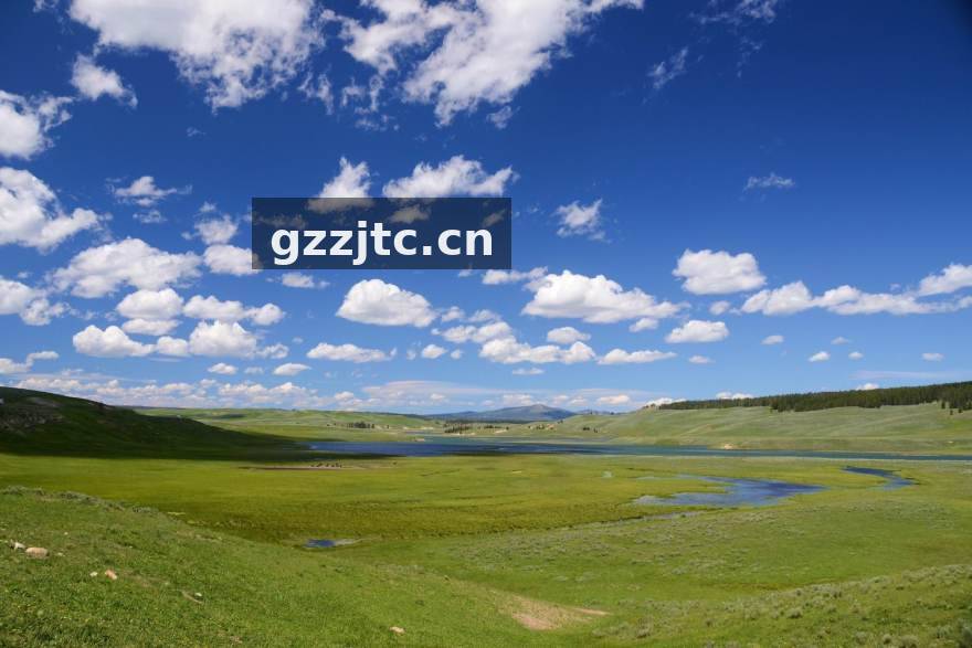 版本更迭下的老将转型：从操作型中单到团队大脑